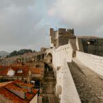 pexels julia volk 5273407